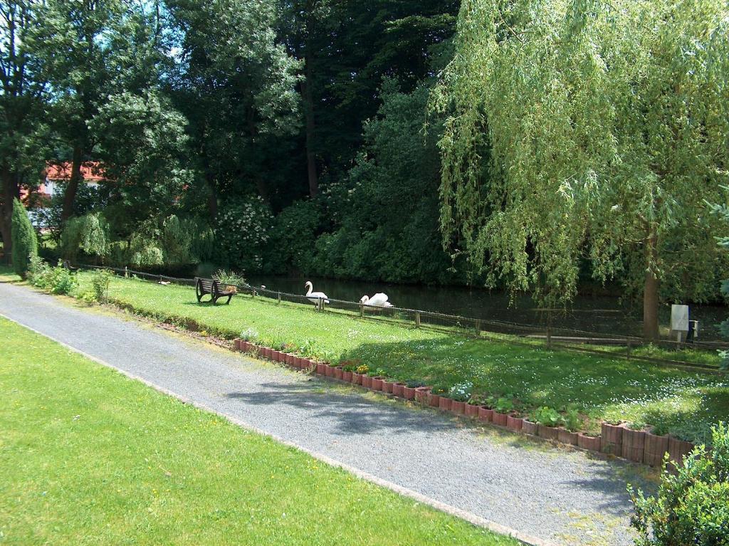 Landhotel & Restaurant Gutsherrn-Klause Dankerode  Exterior photo